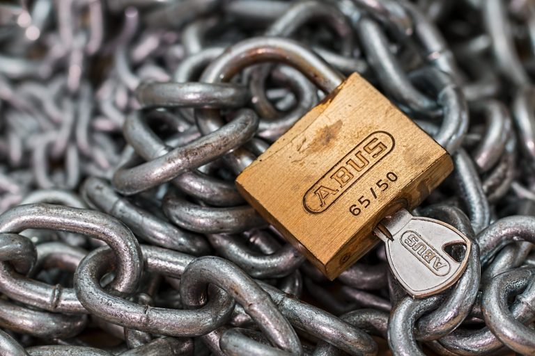 online video security